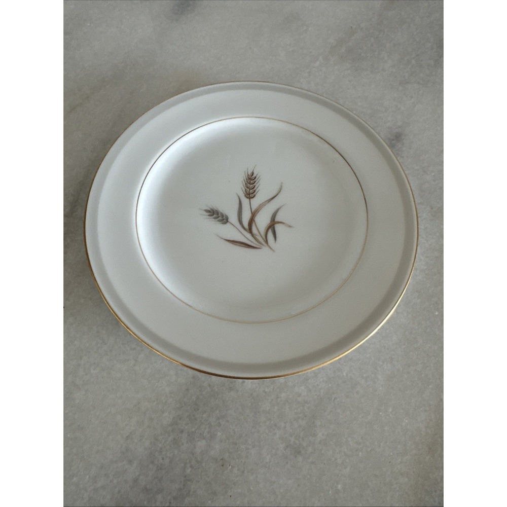 Set Of 10 Sango Harvest Gold‎ Salad Plate